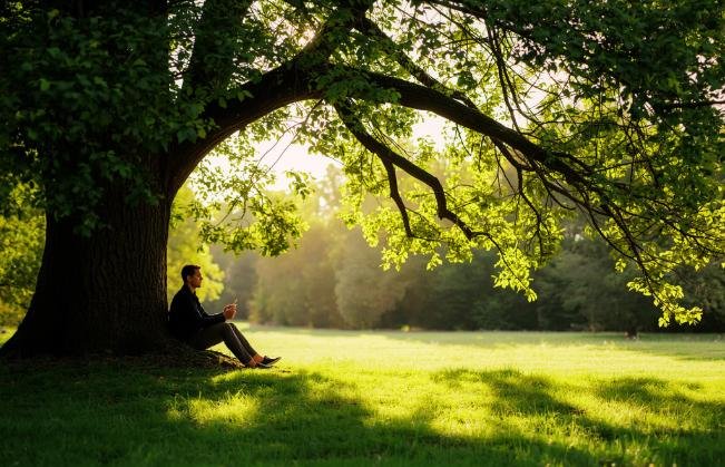 Mother Earth Wellness